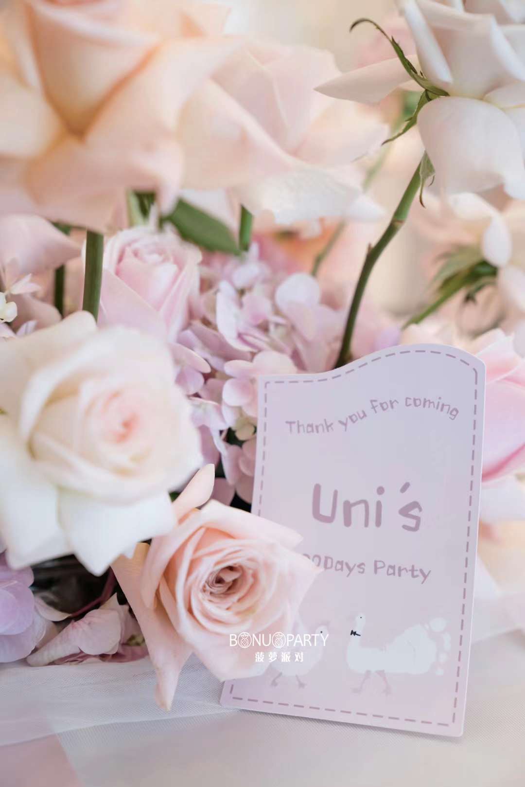“灵狐”Baby  UNIs的甜蜜王国(图2)